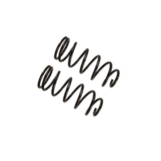 Bilstein - Rear Lift Coils (PAIR) - Toyota 4Runner 2010-2024 - 36-281817 36-281824 36-281831